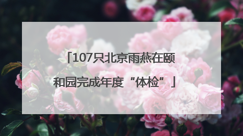 107只北京雨燕在颐和园完成年度“体检”