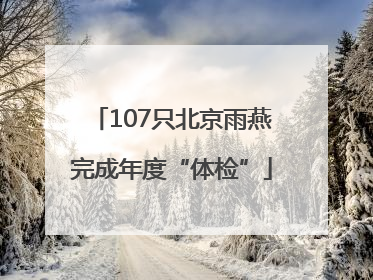 107只北京雨燕完成年度“体检”