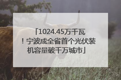 1024.45万千瓦！宁波成全省首个光伏装机容量破千万城市