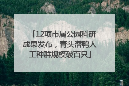 12项市属公园科研成果发布，青头潜鸭人工种群规模破百只