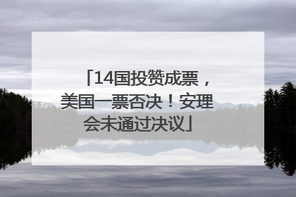 14国投赞成票，美国一票否决！安理会未通过决议