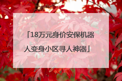 18万元身价安保机器人变身小区寻人神器