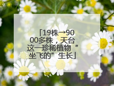 19株→9000多株，天台这一珍稀植物“坐飞的”生长