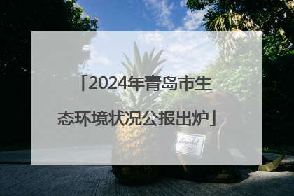 2024年青岛市生态环境状况公报出炉