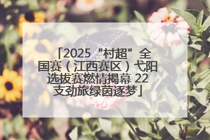 2025“村超”全国赛（江西赛区）弋阳选拔赛燃情揭幕 22支劲旅绿茵逐梦