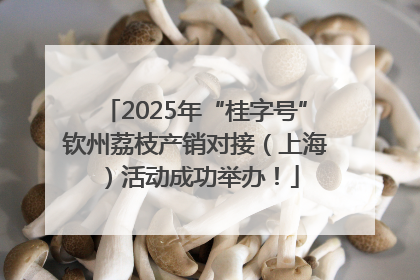 2025年“桂字号”钦州荔枝产销对接（上海）活动成功举办！
