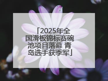 2025年全国滑板锦标赛碗池项目落幕 青岛选手获季军