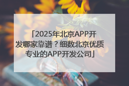 2025年北京APP开发哪家靠谱？细数北京优质专业的APP开发公司