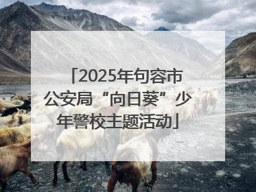 2025年句容市公安局“向日葵”少年警校主题活动