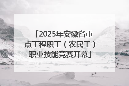 2025年安徽省重点工程职工（农民工）职业技能竞赛开幕