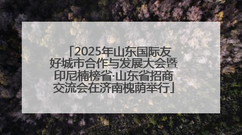2025年山东国际友好城市合作与发展大会暨印尼楠榜省·山东省招商交流会在济南槐荫举行