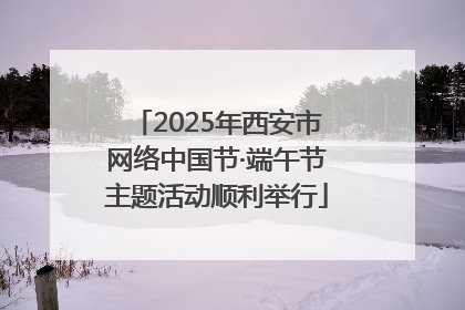 2025年西安市网络中国节·端午节主题活动顺利举行