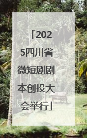 2025四川省微短剧剧本创投大会举行