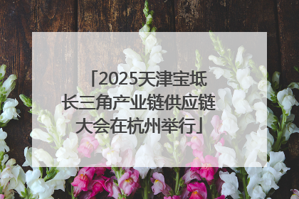 2025天津宝坻长三角产业链供应链大会在杭州举行