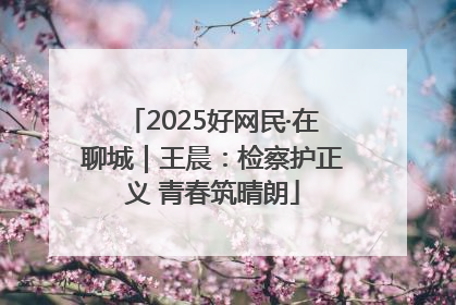 2025好网民·在聊城｜王晨：检察护正义 青春筑晴朗