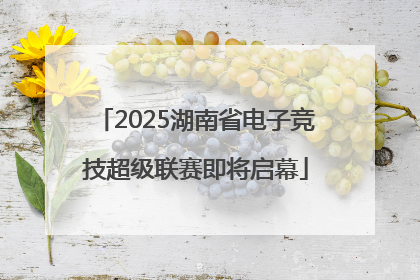 2025湖南省电子竞技超级联赛即将启幕
