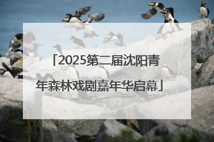2025第二届沈阳青年森林戏剧嘉年华启幕