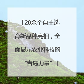 20余个自主选育新品种亮相，全面展示农业科技的“青岛力量”