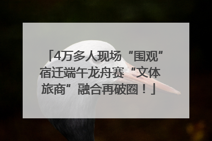 4万多人现场“围观” 宿迁端午龙舟赛“文体旅商”融合再破圈！