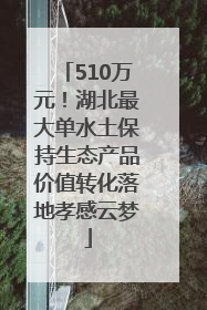 510万元！湖北最大单水土保持生态产品价值转化落地孝感云梦