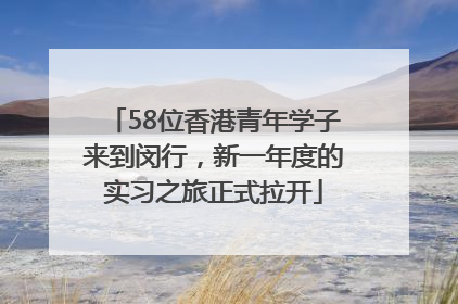 58位香港青年学子来到闵行，新一年度的实习之旅正式拉开