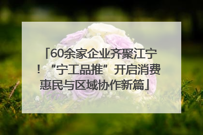 60余家企业齐聚江宁！“宁工品推”开启消费惠民与区域协作新篇