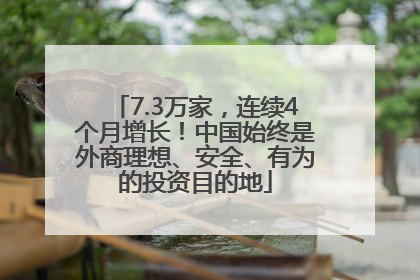 7.3万家，连续4个月增长！中国始终是外商理想、安全、有为的投资目的地