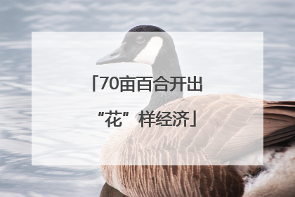 70亩百合开出“花”样经济