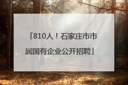810人！石家庄市市属国有企业公开招聘