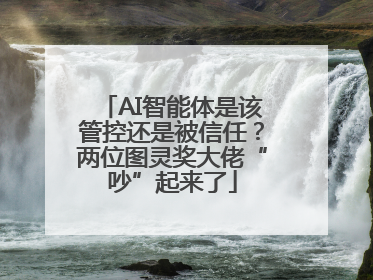 AI智能体是该管控还是被信任？两位图灵奖大佬“吵”起来了